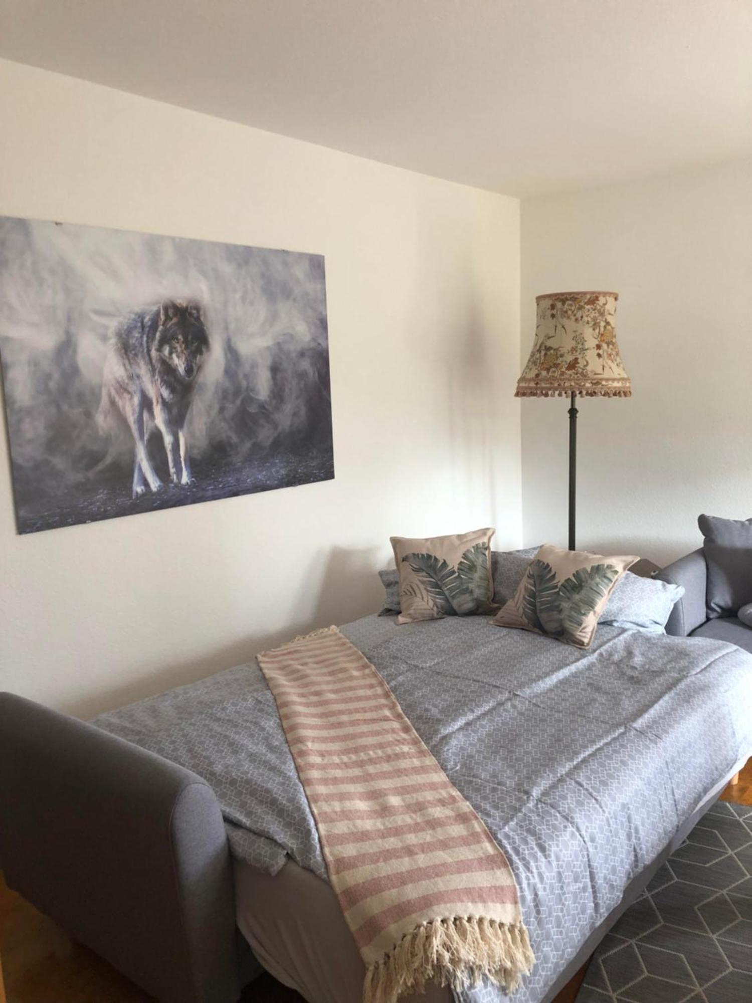 Schwarzwild - Ferienwohnung Und Ferienzimmer バイアースブロン エクステリア 写真