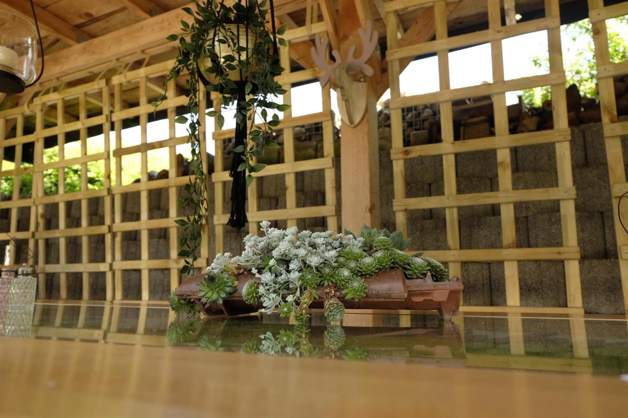 Schwarzwild - Ferienwohnung Und Ferienzimmer バイアースブロン エクステリア 写真